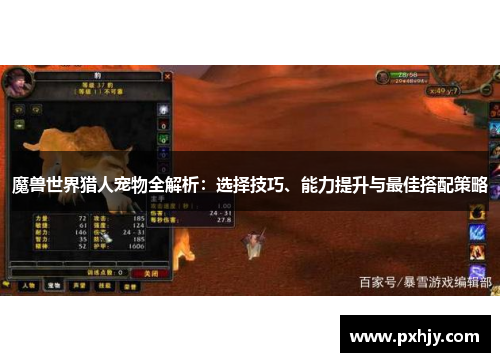 魔兽世界猎人宠物全解析：选择技巧、能力提升与最佳搭配策略
