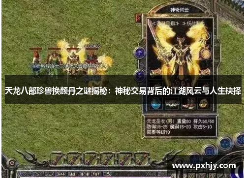 天龙八部珍兽换颜丹之谜揭秘：神秘交易背后的江湖风云与人生抉择