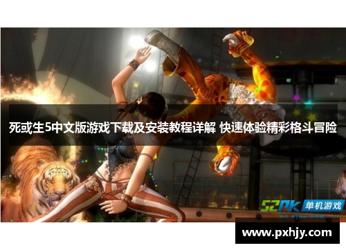死或生5中文版游戏下载及安装教程详解 快速体验精彩格斗冒险